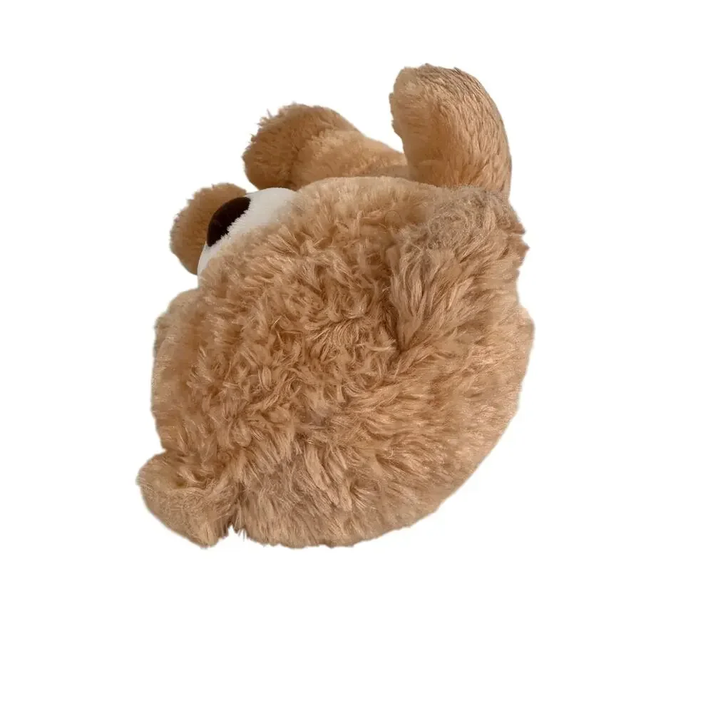 Build-A-Bear Lil Brownie 2020 Happy Birthday Teddy Bear